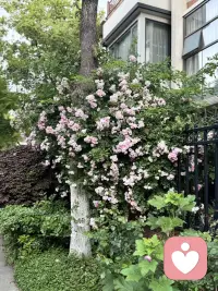 找个治愈自己的地方，享受生命的每一天配图