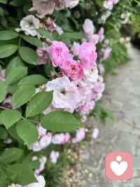 找个治愈自己的地方，享受生命的每一天配图