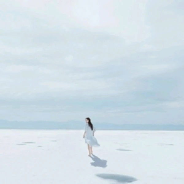 安心（情感+職場+人際）