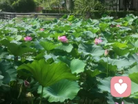 我們往往想著去滋養(yǎng)別人，卻忽視了自己。配圖