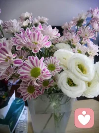 重養(yǎng)自己，做完整的自己。配圖