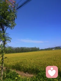 外面沒有別人，只有我們自己。配圖