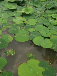 綻放出自己的魅力。