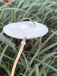 一早收到的??配圖