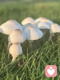 早安，自己配圖