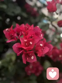 爬山的过程，恰似一场微型的人生隐喻，而我与丈夫截然不同的选择，藏着心理学中关于 “完美” 的两种认知密码。当我在半山腰的树荫下驻足，望着云雾在山谷间流转，听着林间虫鸣与风声交织，疲惫感早已被眼前的景致消解 —— 这一刻，我忽然懂得，心理学中的 “完美体验” 从来不是单一维度的终点抵达，而是对过程中每一个当下的全然接纳。
真正的心理成熟，或许正是跳出非此即彼的认知陷阱，理解完美的多元性。就像山路上的每一步，无论是向上攀登还是驻足欣赏，都是人生体验的重要组成部分。当我们不再将完美等同于 “抵达”，而是学会在每一个当下与自己和解，接纳过程中的所有状态 —— 疲惫与轻松、前进与停留、壮阔与细微，便会发现，心理学中的 “完美” 从来不是一个固定的点，而是一条流动的河，它藏在每一次呼吸里，每一次凝望中，藏在我们愿意接纳一切的柔软心底。
人生如登山，不必人人都挤向山顶的赛道。允许自己在半山腰停留，允许他人向着顶点奔赴，更允许完美以不同的姿态呈现 —— 这不仅是对他人的包容，更是对自己的温柔。毕竟，心理学最终追求的，从来不是无所缺憾的人生，而是接纳缺憾、享受过程的心理自由。