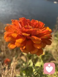 爬山的过程，恰似一场微型的人生隐喻，而我与丈夫截然不同的选择，藏着心理学中关于 “完美” 的两种认知密码。当我在半山腰的树荫下驻足，望着云雾在山谷间流转，听着林间虫鸣与风声交织，疲惫感早已被眼前的景致消解 —— 这一刻，我忽然懂得，心理学中的 “完美体验” 从来不是单一维度的终点抵达，而是对过程中每一个当下的全然接纳。
真正的心理成熟，或许正是跳出非此即彼的认知陷阱，理解完美的多元性。就像山路上的每一步，无论是向上攀登还是驻足欣赏，都是人生体验的重要组成部分。当我们不再将完美等同于 “抵达”，而是学会在每一个当下与自己和解，接纳过程中的所有状态 —— 疲惫与轻松、前进与停留、壮阔与细微，便会发现，心理学中的 “完美” 从来不是一个固定的点，而是一条流动的河，它藏在每一次呼吸里，每一次凝望中，藏在我们愿意接纳一切的柔软心底。
人生如登山，不必人人都挤向山顶的赛道。允许自己在半山腰停留，允许他人向着顶点奔赴，更允许完美以不同的姿态呈现 —— 这不仅是对他人的包容，更是对自己的温柔。毕竟，心理学最终追求的，从来不是无所缺憾的人生，而是接纳缺憾、享受过程的心理自由。