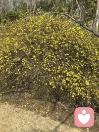 风里已经有了春的味道，万物慢慢苏醒。