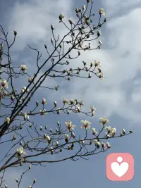 风里已经有了春的味道，万物慢慢苏醒。