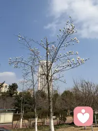 风里已经有了春的味道，万物慢慢苏醒。