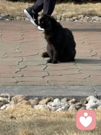 风里已经有了春的味道，万物慢慢苏醒。