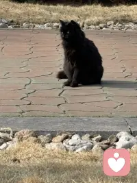 风里已经有了春的味道，万物慢慢苏醒。