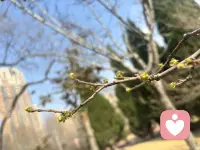 风里已经有了春的味道，万物慢慢苏醒。