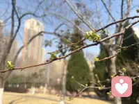 风里已经有了春的味道，万物慢慢苏醒。