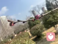 风里已经有了春的味道，万物慢慢苏醒。