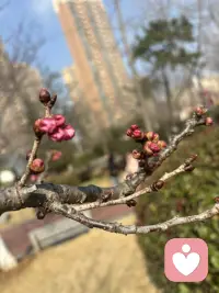 风里已经有了春的味道，万物慢慢苏醒。