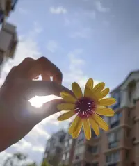 通過(guò)傾訴可以心情暢快，把那些不好的東西釋放出去，不容易生病身心健康。配圖