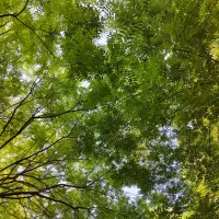 培養新習慣，每天做四件小事：
1. 做有益于身體的事情。
2. 做能夠鎮靜思想的事情。
3. 做能夠豐富精神的事情。
4. 做能夠簡化環境的事情。配圖