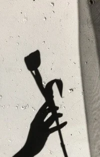 在解決問題的過程中，我們可以發(fā)現(xiàn)“把難題放在一邊，放上一段時間，才能得到滿意的答案”這一現(xiàn)象。心理學家將其稱為“醞釀效應(yīng)”。阿基米德發(fā)現(xiàn)浮力定律，就是醞釀效應(yīng)的經(jīng)典故事。配圖