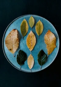 我們曾如此期盼外界的認可，到最后才知道：世界是自己的，與他人毫無關系。

——楊絳先生

?配圖