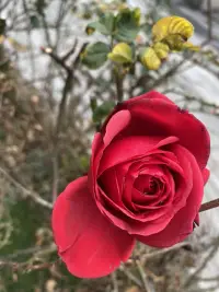 情绪解决不了问题，只会激化矛盾。
往往层次高的人遇到问题，想的是怎么样把事情用最短的时间，最合理的高效方式解决掉，如果和别人产生矛盾了，想的是如何降低彼此的损失。尽量节约彼此的时间去解决事情。而越是层次低的人遇到事情，往往是选择先发泄情绪。从某种程度上讲就极大影响了双方的沟通，阻碍了解决事情的进程。所以遇到让你产生情绪的事情，你知道怎么做了吗？