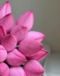 如果想要和一个人结婚，不妨参考一下他的父母，因为他迟早会活成他父母的样，当然这不是绝对的，因为这得看的悟性怎么样啦！！
