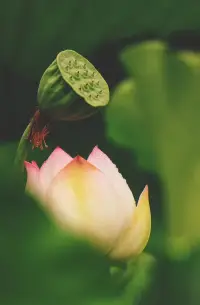 如果想要和一个人结婚，不妨参考一下他的父母，因为他迟早会活成他父母的样，当然这不是绝对的，因为这得看的悟性怎么样啦！！