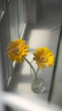 大事要靜，急事要緩，難事要變，爛事要遠。一個人看待事情的角度，決定他的人生高度。一個人身心寧靜，思慮才能周全，唯有心靜，方能從容；急事要緩，生活中常常因一件事著急慌亂結果出錯，事與愿違，沉住氣，事緩則圓；難事要變，遇到困難的時候，要學會變通，變化以后才能通達，通達之后才能長久，學會變通，才能彎道超車；爛事要遠，為爛事糾纏，只會影響你的心情，占用你的時間，對于爛人爛事，最明智的辦法就是不聽、不問、不理會。大家周末早上好！配圖