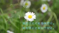 沒有人能真正了解你的心，惟有多多傾訴、多多剖析才能對(duì)自己有更多的認(rèn)識(shí)，才能真正明白，自己最需要什么。早安，朋友！配圖