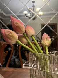 途經四季，冷暖自知，一念花落成時，一念花開成景，避開喧囂，尋一隅安靜，過一種樸素生活；
不求有多繁華，只是與溫暖相依，煙火日子里有詩意，朝起暮落之間有漣漪，不辜負時光和生命，以溫柔的初心，感受幸福和美好。配圖