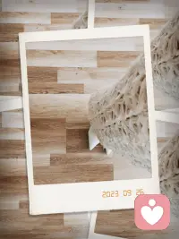 世上那么多條條框框
就是告訴我們不用格格都入
既然來到這個世上
就要活的健康喜悅??
在瑜伽理療中抗衰健康美麗??
在心理療愈中收獲安寧喜悅??配圖