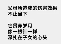 父母所造成的傷害效果不止當下
它貫穿歲月
像根針一樣深扎在子女的心頭…配圖