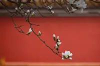 《簡愛》一書中，寫道：
你要自愛，不要把你全身心的愛，靈魂和力量，作為禮物慷慨贈(zèng)予，浪費(fèi)在不需要和受輕視的地方。配圖