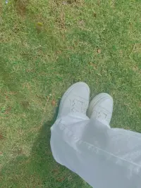 走進(jìn)自然
在自然中清醒配圖