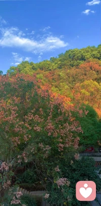 工作很累，總不能不做吧，感情再假，總不能不碰吧，家再遠，總不能不回吧。人生這道題，怎么選都會有遺憾，而真正的強者是夜深人靜了，自己把心掏出來自己縫縫補補，睡一覺醒來，又是信心百倍?；钪?，就要遇山開路，遇水架橋。??配圖