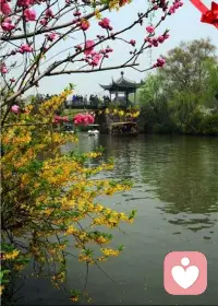 心里的苦，才是最大的苦。。。。。。。。。配圖