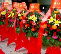 明天，琴音咖啡，藍色港灣咖啡，浪漫滿屋咖啡一起舉行，開業(yè)…………終于可以東山再起了，再以后的事業(yè)里，錢源滾滾，努力再努力，這些花，來自，員工們的賀禮……配圖