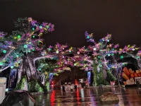 雨后的夜。。。配图