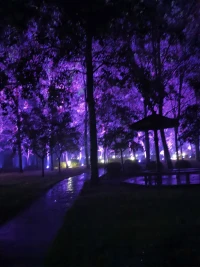 雨后的夜。。。配图