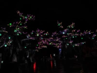 雨后的夜。。。配图