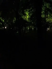 雨后的夜。。。配图