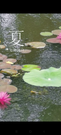 終其一生，我們總是會經(jīng)歷很多 也總是不得不去面對很多，當(dāng)我們并沒有辦法改變一些事，我們能夠做的，也唯有好好去生活，從平凡的歲月中，找到一些屬于自己的解藥。配圖