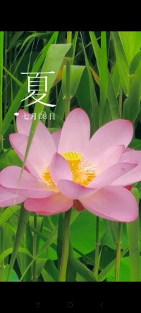 沒有別人聰明，就要比別人努力。沒有別人有錢，就要比別人能吃苦。沒有別人的機(jī)會(huì)多，就要主動(dòng)去創(chuàng)造機(jī)會(huì)。成功就是1%的機(jī)會(huì)99%的努力+堅(jiān)持……配圖