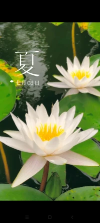 日落夜來，夜去日升。循環往復，歸于山，歸于海。配圖