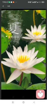 小扇引微涼，悠悠夏日長。配圖