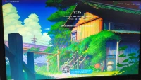 或許自由更勝一籌。配圖
