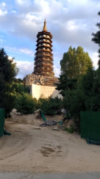 夏夜明亮，是因为每一粒光都停留在你的梦里配图