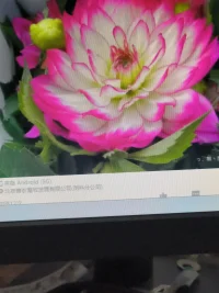 擔(dān)心未來？沒有安全感？這條路上，只有奮斗才能給你安全感。不要太在乎什么背景、出身，反正你爸不是李剛，你的真本事就是你的靠山，本事越大靠山越硬，只有你自己能給自己最大的安全感。別忘了自己為什么出發(fā)，別忘記自己想去的地方，別忘記父母還在流汗打拼，除了奮斗沒有別的路可走……配圖