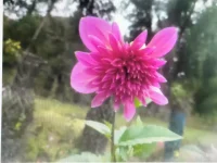 擔(dān)心未來？沒有安全感？這條路上，只有奮斗才能給你安全感。不要太在乎什么背景、出身，反正你爸不是李剛，你的真本事就是你的靠山，本事越大靠山越硬，只有你自己能給自己最大的安全感。別忘了自己為什么出發(fā)，別忘記自己想去的地方，別忘記父母還在流汗打拼，除了奮斗沒有別的路可走……配圖
