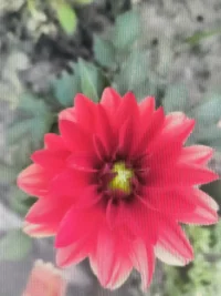 擔(dān)心未來？沒有安全感？這條路上，只有奮斗才能給你安全感。不要太在乎什么背景、出身，反正你爸不是李剛，你的真本事就是你的靠山，本事越大靠山越硬，只有你自己能給自己最大的安全感。別忘了自己為什么出發(fā)，別忘記自己想去的地方，別忘記父母還在流汗打拼，除了奮斗沒有別的路可走……配圖